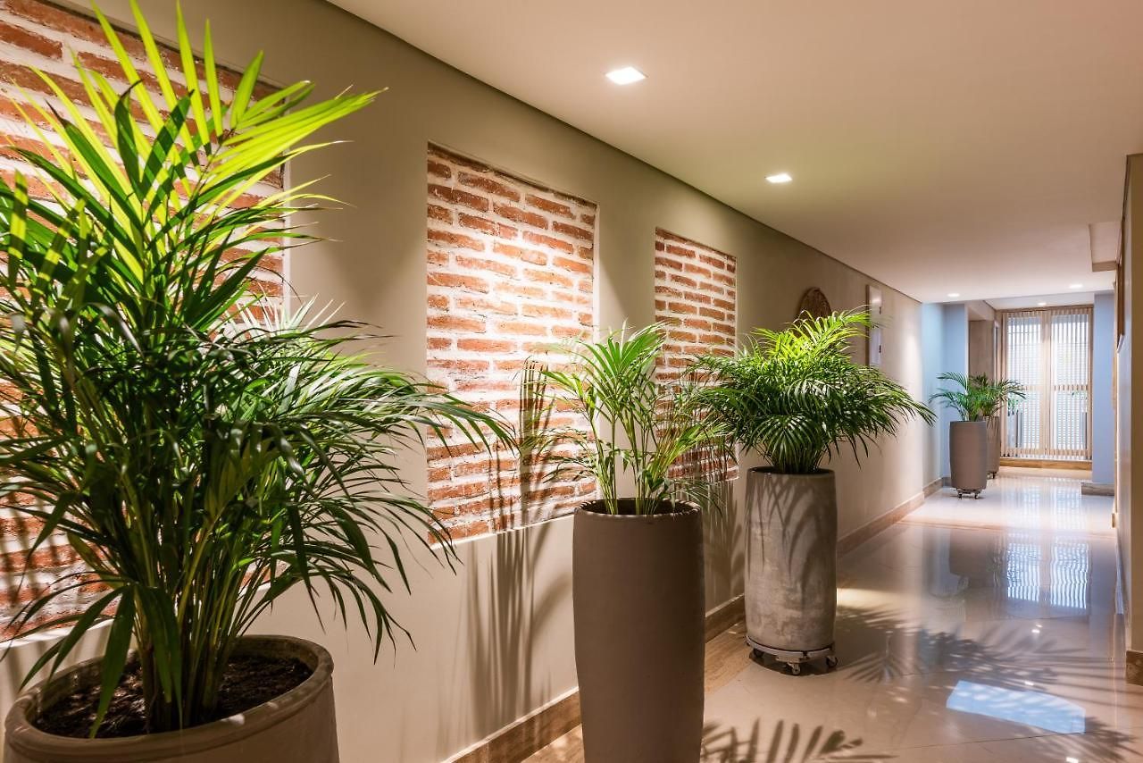 Casa Gimani Apartment